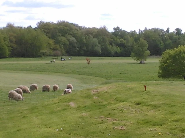 Golf d’Abbeville — photo 1