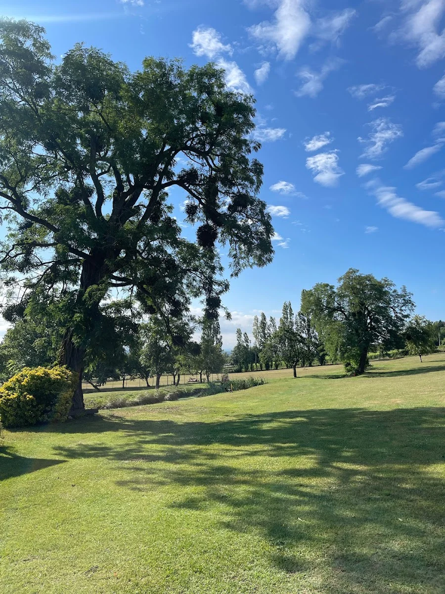 Golf de Briailles (Golf de Saint Pourçain) — photo 1