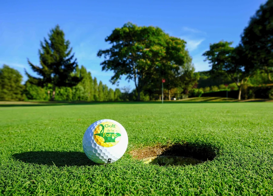 Golf de la Forge — photo 1