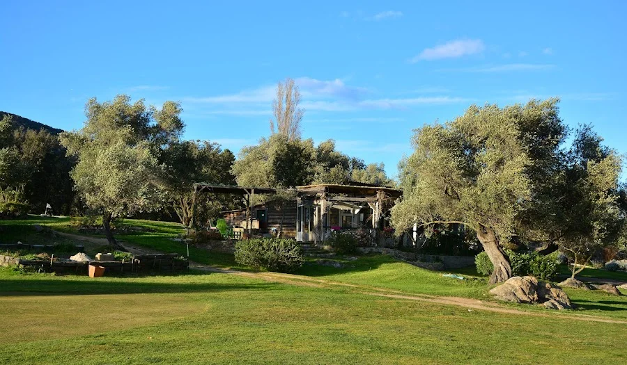 Golf du Reginu — photo 1