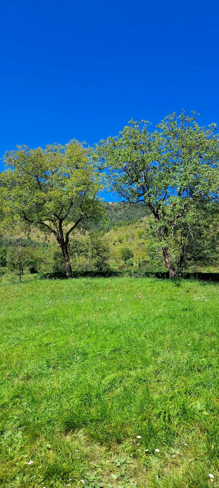 Golf et Country Club de Vievola — photo 1