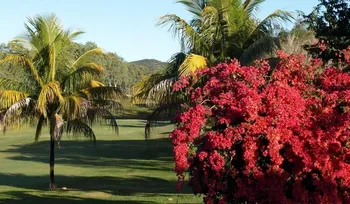Golf club de la Ouenghi — photo 4