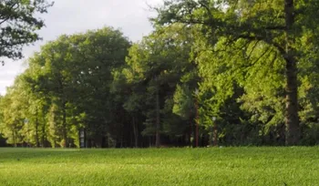 Golf de Clairis — photo 3