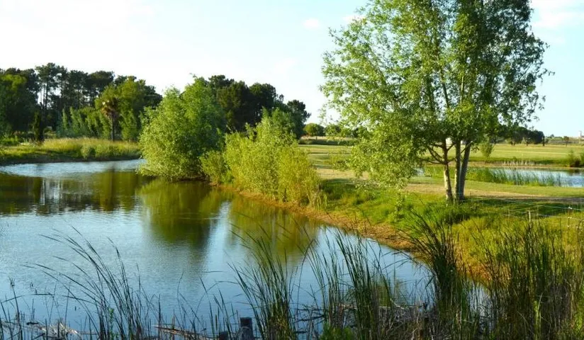 Golf de la presqu’Ile du Cotentin — photo 4