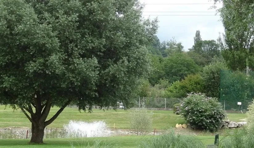 Golf de Salies du Salat — photo 4