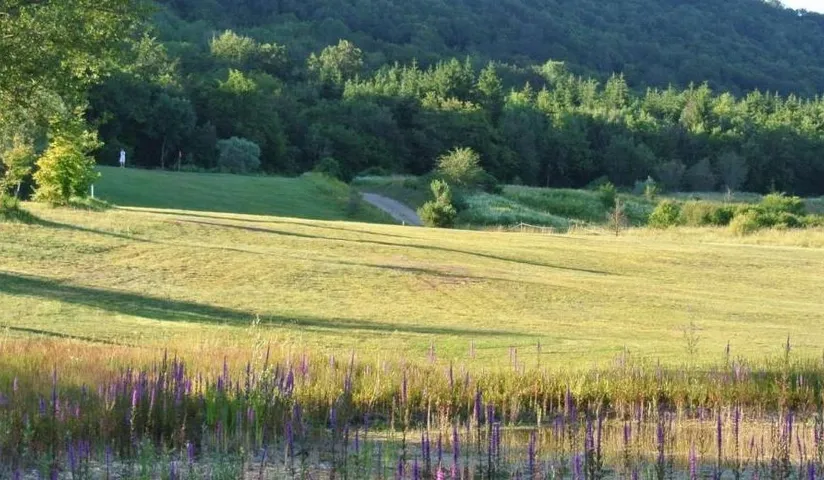 Golf des Quatre Saisons — photo 4