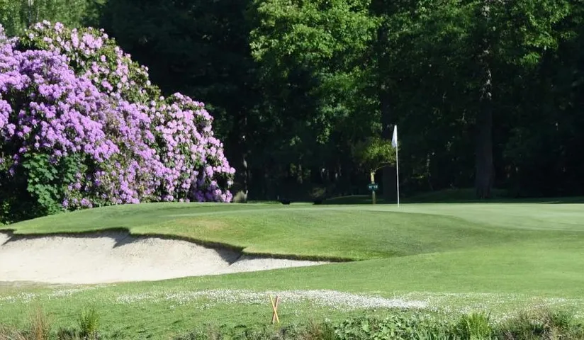 Golf Isabella — photo 3