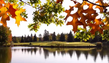 Le Golf Parc Robert Hersant — photo 3
