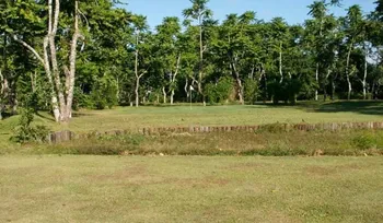 Mayotte golf club les Ylangs — photo 2