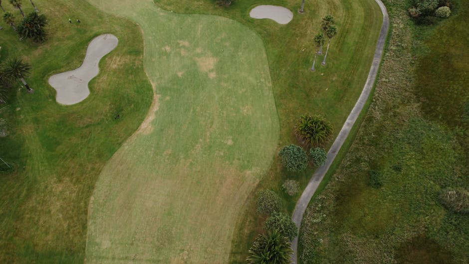 Les golfs municipaux en France : abordables, engagés, et souvent méconnus